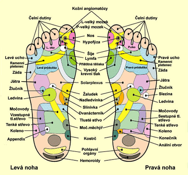 chodidlo jako mapa tela