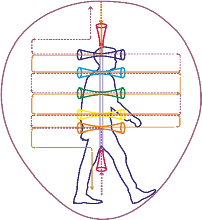 struktura jemnohmotneho tela cloveka