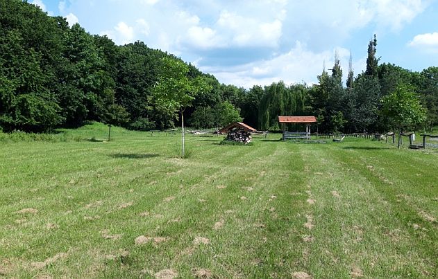 Kupala na Morave - Strilky, louka