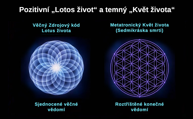 Pozitivni_„Lotos_zivot“_a_temny_„Kvet_zivota“